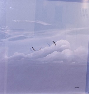 soaring gpac0358