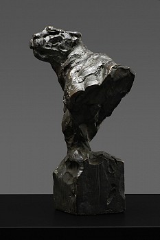 s472 stalking cheetah bust a