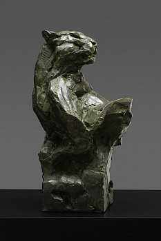 s481 leopard lying on boulder bust b