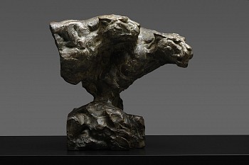 s482 stalking leopard pair bust a