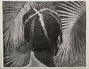 b lino print patience with shimmering palm 63 x 82 framed size 87 x 105 folded linolium print on paper with string system img