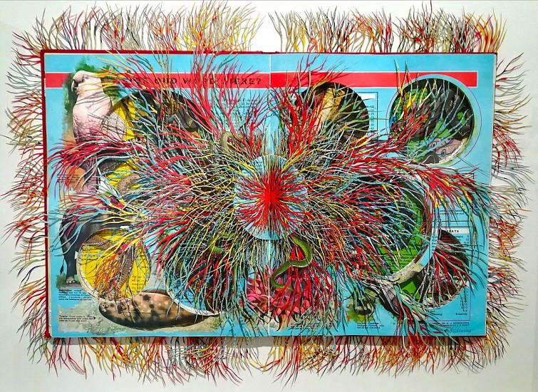 BARBARA WILDENBOER, BOOM VAN KENNIS VAN GOED EN KWAAD/ TREE OF KNOWLEDGE OF GOOD AND EVIL
2018, ALTERED BOOK