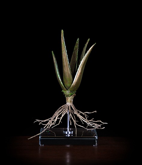 NIC BLADEN, ALOE VERA
2019, BRONZE AND STERLING SILVER