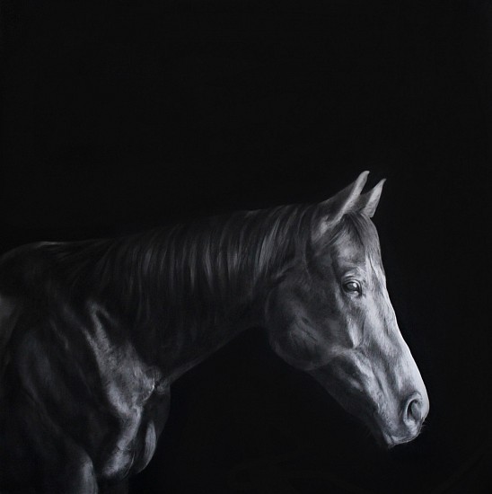 HENK SERFONTEIN, EQUUS l
2020, CHARCOAL AND MIXED MEDIA ON HANNEMUHLE PAPER
