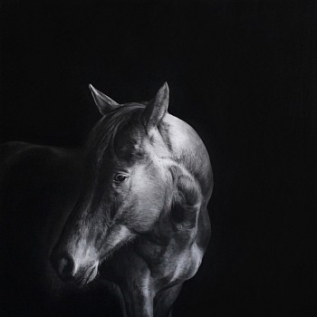 equus iii