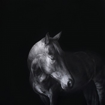 equus ii