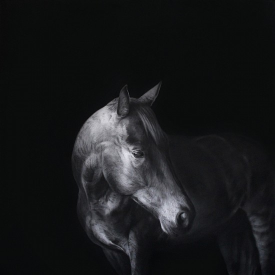 HENK SERFONTEIN, EQUUS ll
2020, CHARCOAL AND MIXED MEDIA ON HANNEMUHLE PAPER