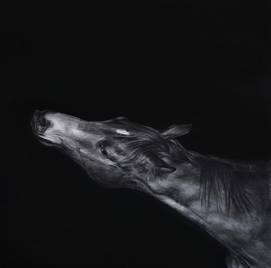 HENK SERFONTEIN, EQUUS V
2020, CHARCOAL AND MIXED MEDIA ON HANNEMUHLE PAPER