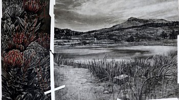 the clay dam is empty but the pincushions are in bloom