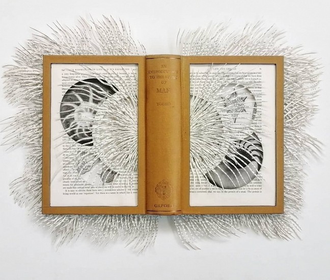 BARBARA WILDENBOER, THE STUDY OF MAN
2020, ALTERED BOOK