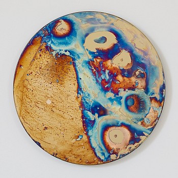 wartherdixon cygnus albireo