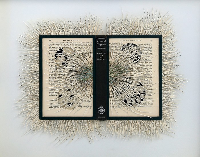 BARBARA WILDENBOER, MAPS AND DIAGRAMS
2020, ALTERED BOOK