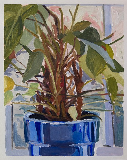 SWAIN HOOGERVORST, 3 OCT 2018 PLANT IN A BLUE POT
2018, OIL ON PAPER