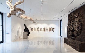 IMG 9960 edit.jpg small