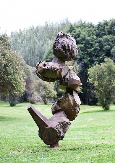 COBUS HAUPT, SELF (DOLLOSKOPPE)
2020, BRONZE