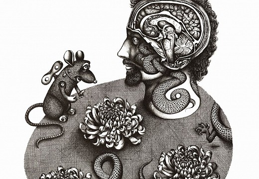 drawing 6 print ready copy resized small