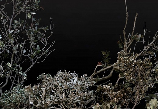 Invite image black background website