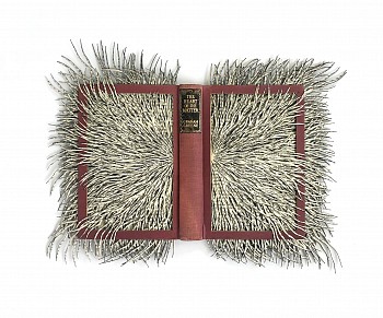 the heart of the matter bw