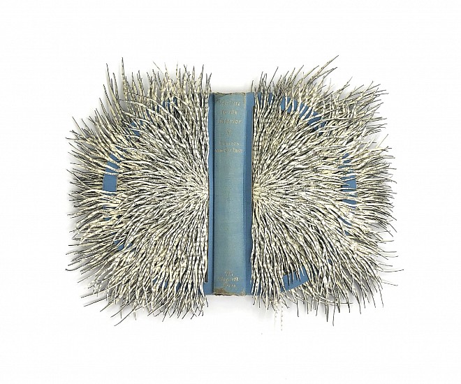 BARBARA WILDENBOER, VENTURE TO THE INTERIOR
2022, ALTERED BOOK