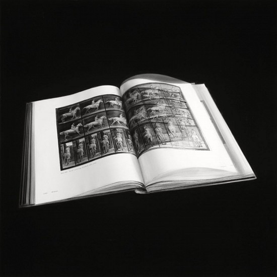 HENK SERFONTEIN, TURNING PAGES III
CHARCOAL & MIXED MEDIA ON ARCHIVAL PAPER