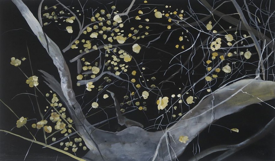 ARABELLA CACCIA, KIAAT AT NIGHT, KATOYANA, LIUWA PLAINS
2023, Mixed Media on Paper