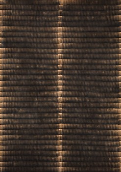 8. golden spine low res