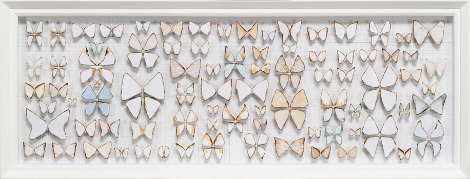 MARK RAUTENBACH, FRIENDS AND NEIGHBOURS(LAST OF THE BUTTERFLIES SERIES
MIXED MEDIA