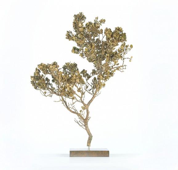 NIC BLADEN, COLPOON COMPRESSUM
GALLERY ARTIST, BRONZE