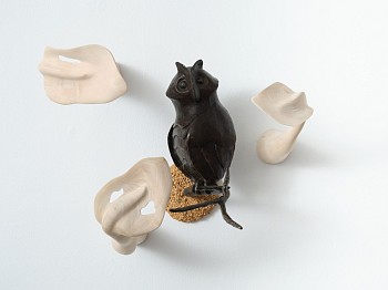 thumbnail everard read 29 07 2025 hr