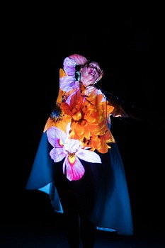 a song of adoration 2 ixia maculate kalossie